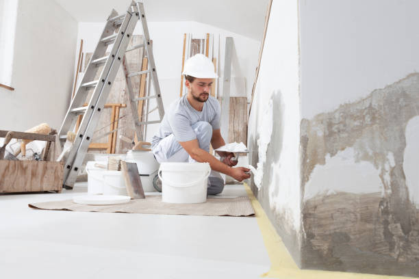 Best Mold Damage Restoration  in Saks, AL