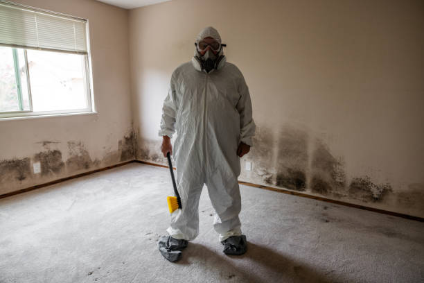 Best Crawl Space Mold Remediation  in Saks, AL