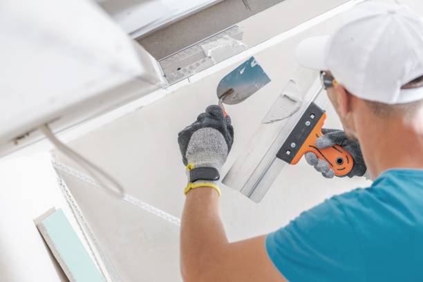 Saks, AL Mold Removal Company